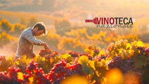 blog vini artigianali naturali biologici biodinamici